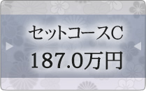 セットコースC 183.6万円